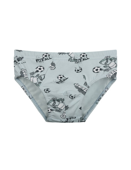 Donella 7681B7 Assorted 10-Pack Women's Briefs — Istanbul wholesale supplier