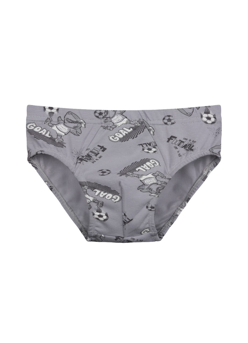 Donella 7681B7 Assorted 10-Pack Women's Briefs — wholesale for boutiques