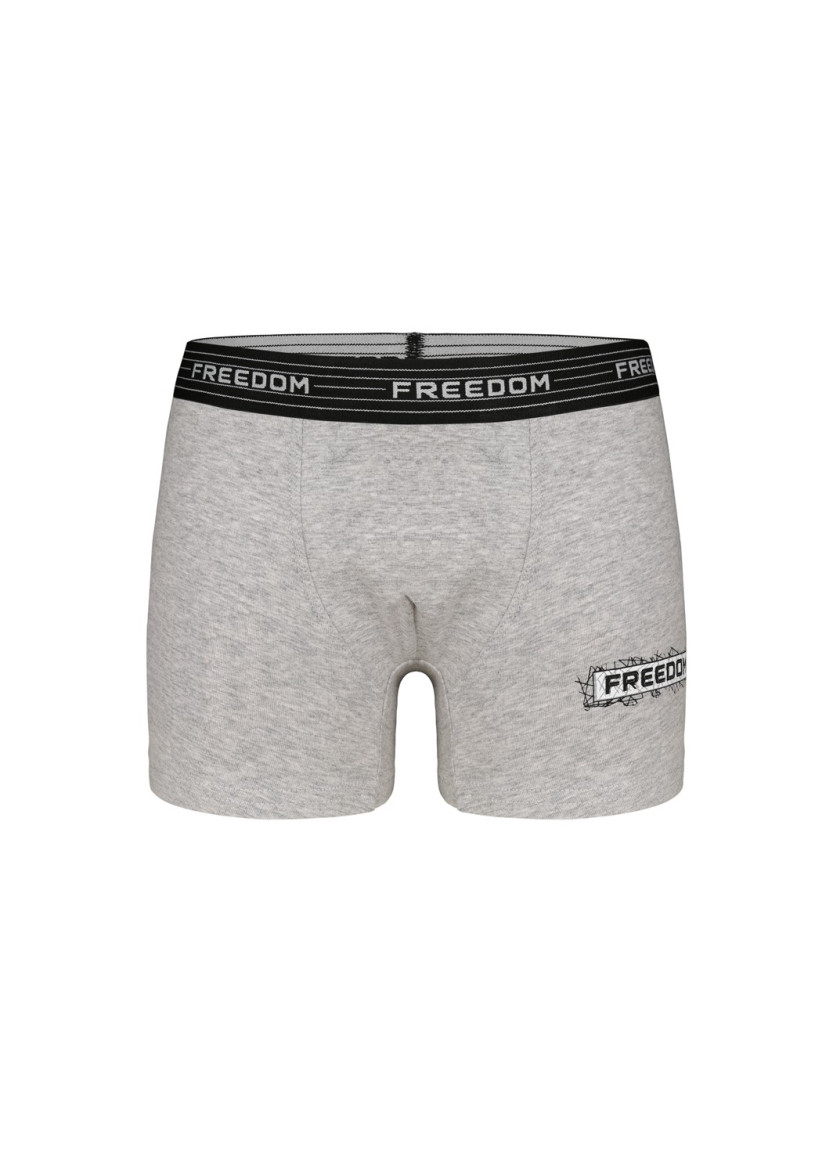 Donella 8024B3 Assorted 10-Pack Boys' Boxer Briefs — Turkey wholesale collection