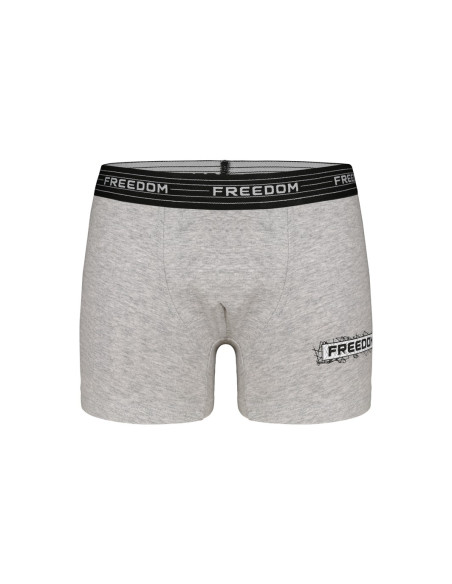 Donella 8024B3 Assorted 10-Pack Boys' Boxer Briefs — Turkey wholesale collection
