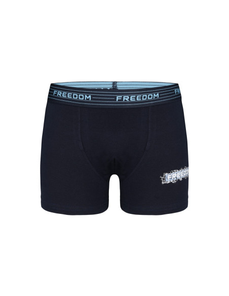Donella 8024B3 Assorted 10-Pack Boys' Boxer Briefs — Turkish factory wholesale