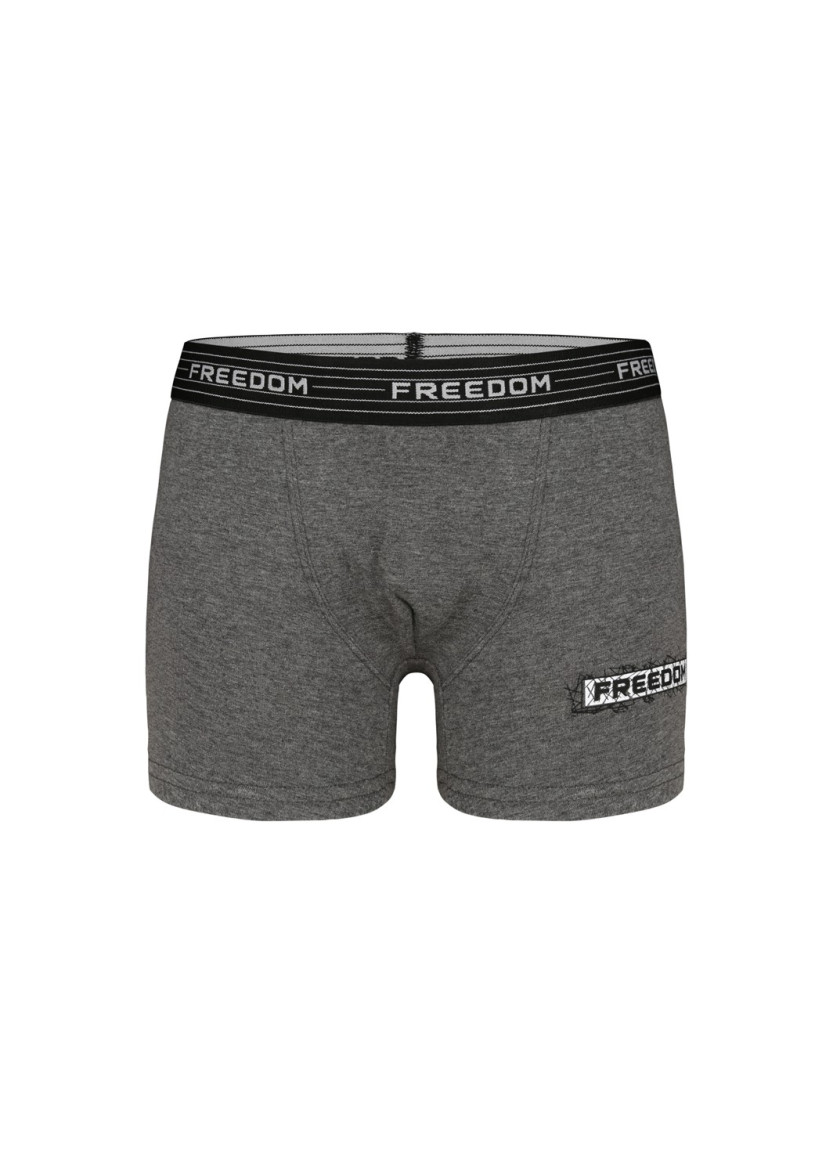 Donella 8024B3 Assorted 10-Pack Boys' Boxer Briefs — Istanbul wholesale supplier