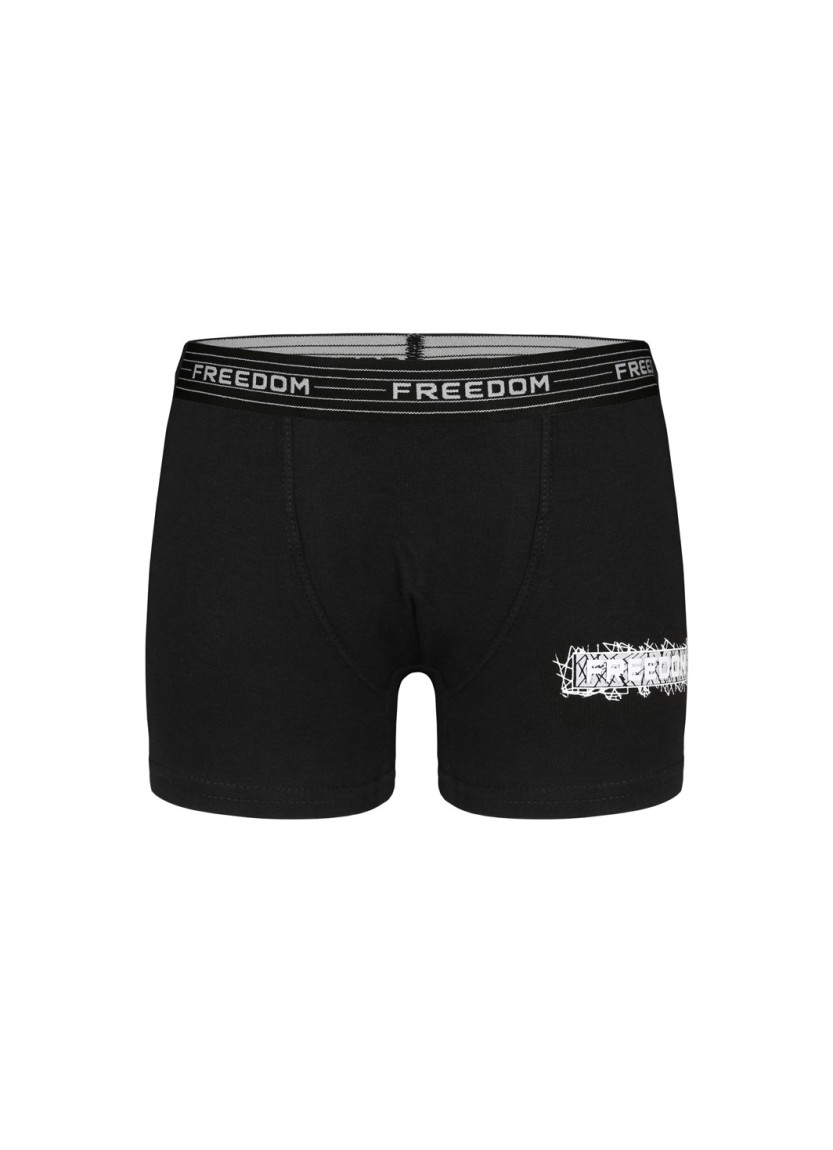 Donella 8024B3 Assorted 10-Pack Boys' Boxer Briefs — wholesale for boutiques