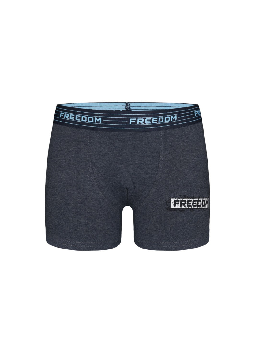 Donella 8024B3 Assorted 10-Pack Boys' Boxer Briefs — Turkey wholesale collection