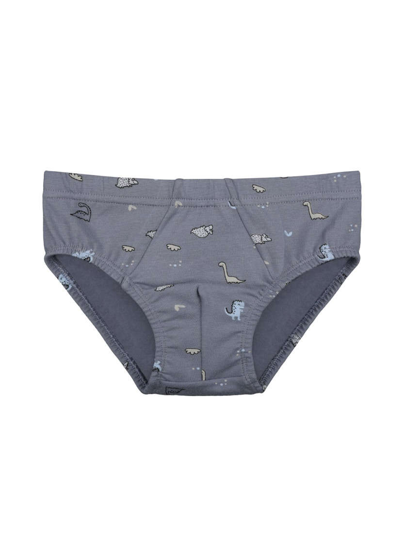 Donella 768106 Оптом Турция Фабрика Трусы для Мальчиков (Ассорти) 10 шт/уп Donella 768106 Купить Оптом с Турции