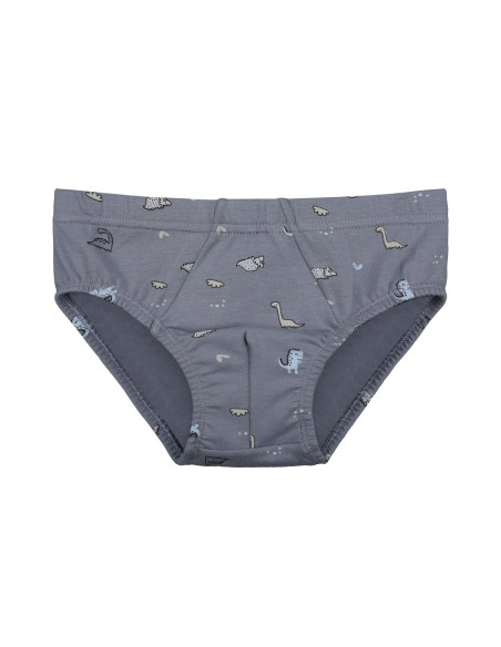Donella 768106 Оптом Турция Фабрика Трусы для Мальчиков (Ассорти) 10 шт/уп Donella 768106 Купить Оптом с Турции