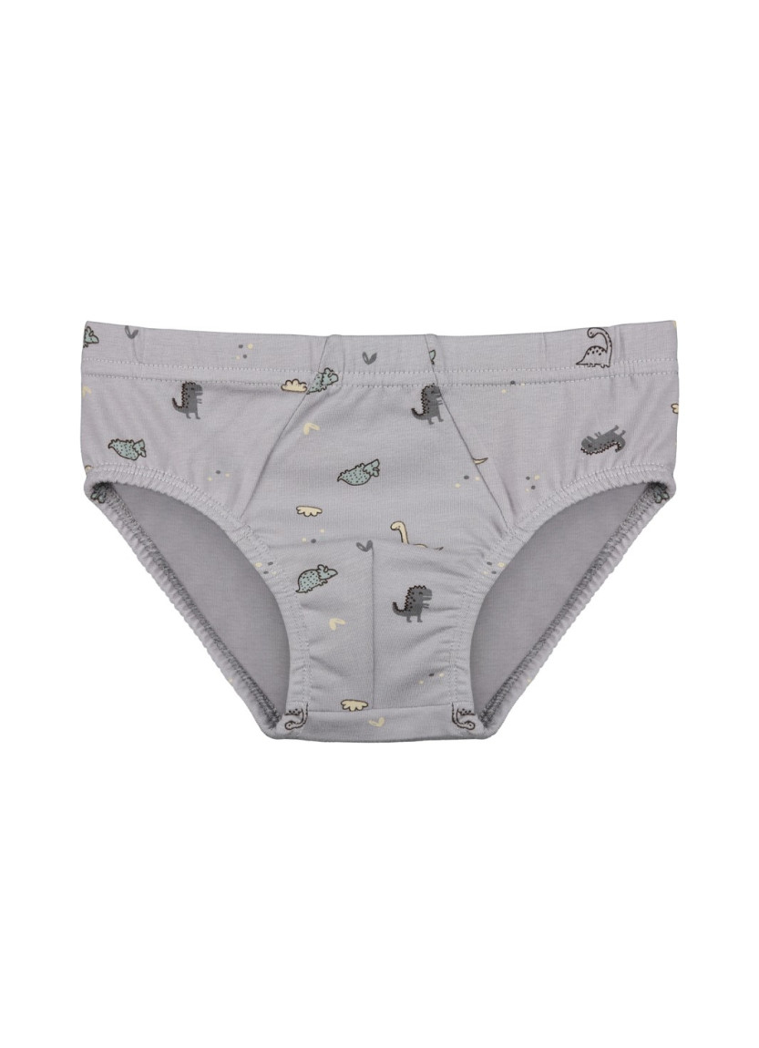 Donella 768106 Оптом Турция Фабрика Трусы для Мальчиков (Ассорти) 10 шт/уп Donella 768106 Купить Оптом с Турции