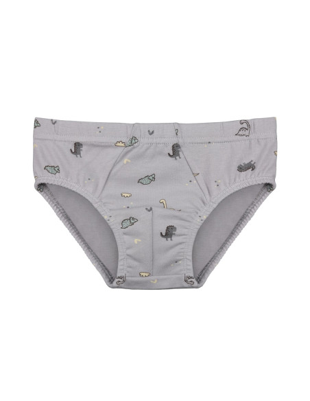 Donella 768106 Оптом Турция Фабрика Трусы для Мальчиков (Ассорти) 10 шт/уп Donella 768106 Купить Оптом с Турции
