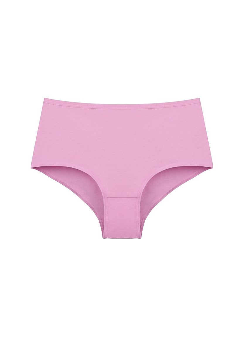 Donella 0671PD10 Assorted 10-Pack Women's Briefs — Istanbul wholesale supplier