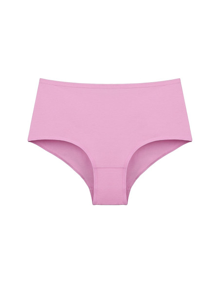 Donella 0671PD10 Assorted 10-Pack Women's Briefs — Istanbul wholesale supplier