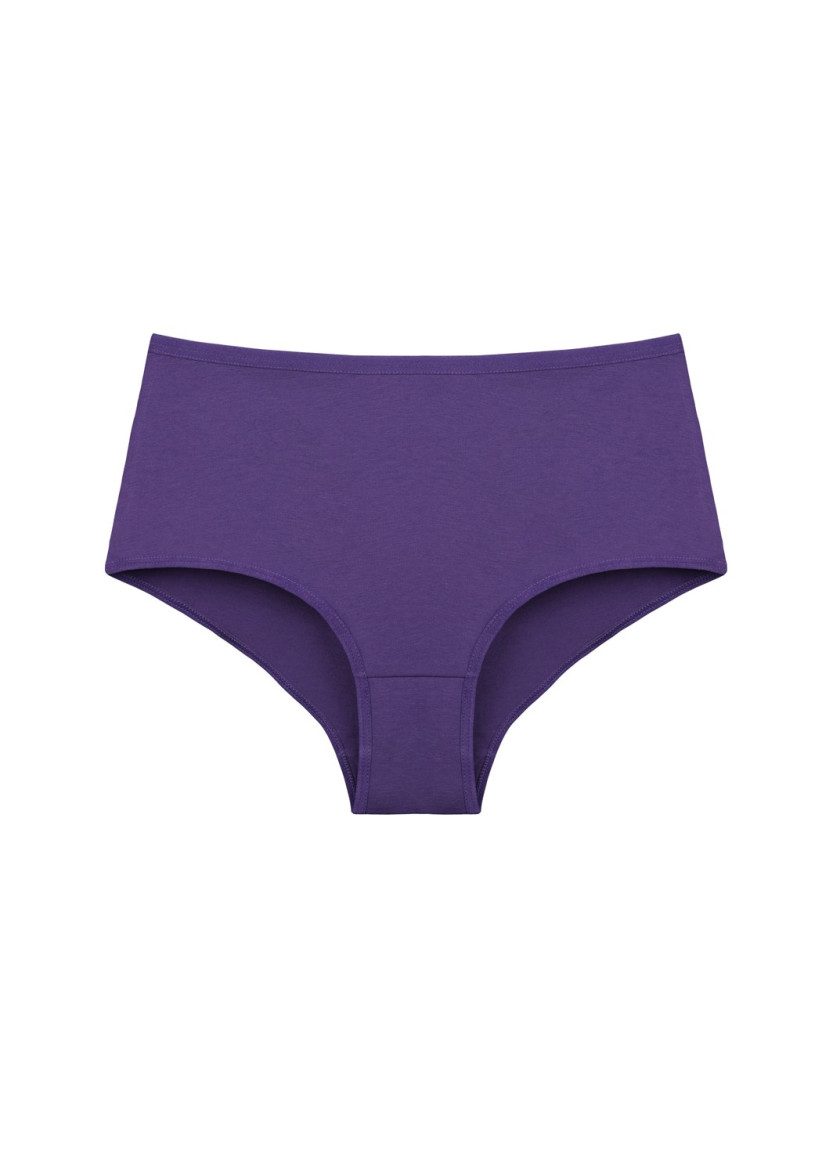 Donella 0671PD10 Assorted 10-Pack Women's Briefs — wholesale for boutiques
