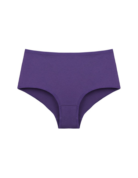 Donella 0671PD10 Assorted 10-Pack Women's Briefs — wholesale for boutiques
