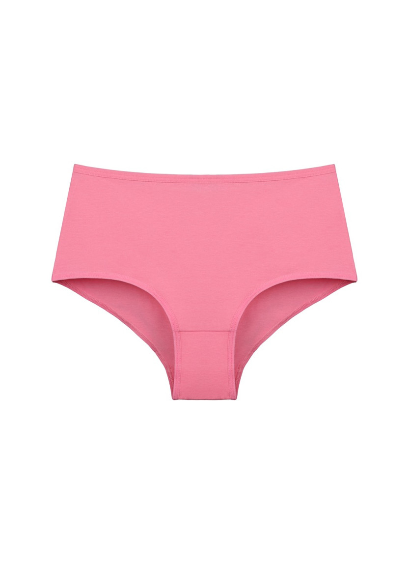 Donella 0671PD10 Assorted 10-Pack Women's Briefs — Istanbul wholesale supplier