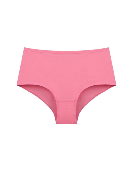 Donella 0671PD10 Assorted 10-Pack Women's Briefs — Istanbul wholesale supplier