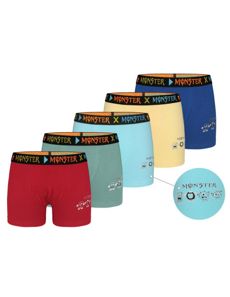 Donella 8071PB22 Assorted 10-Pack Boys' Boxer Briefs — Turkey wholesale collection