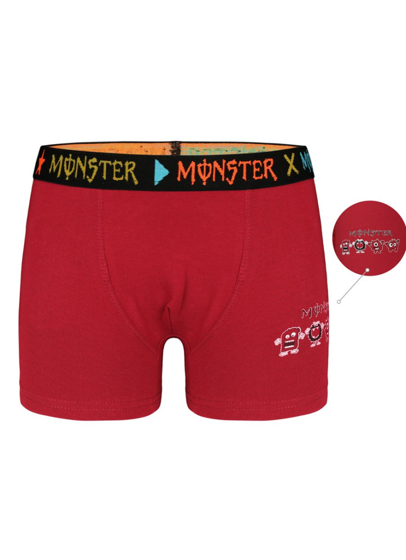 Donella 8071PB22 Assorted 10-Pack Boys' Boxer Briefs — wholesale for boutiques