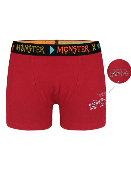 Donella 8071PB22 Assorted 10-Pack Boys' Boxer Briefs — wholesale for boutiques