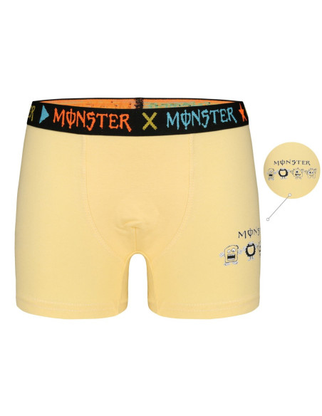 Donella 8071PB22 Assorted 10-Pack Boys' Boxer Briefs — wholesale for boutiques