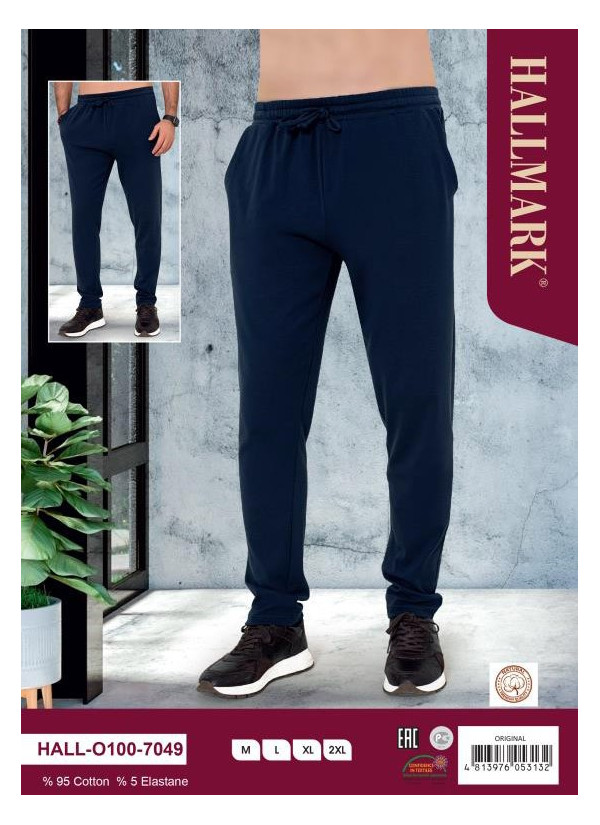 Брюки Мужские (M+L+XL+XXL) HALLMARK HALLO1007049_ORI — оптовая поставка из Турции