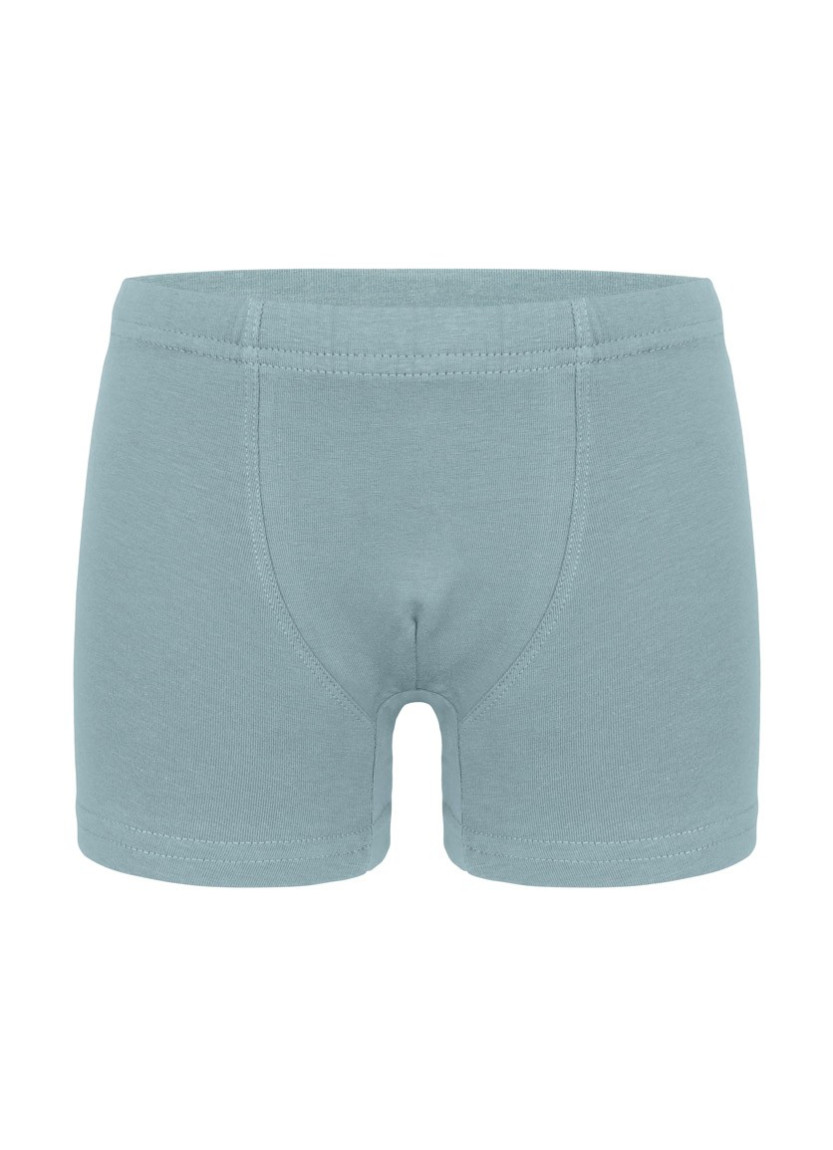 Трусы Боксеры для Мальчиков Boxer (Ассорти) 10 шт/уп Donella 7571PD2 — оптовая поставка из Турции