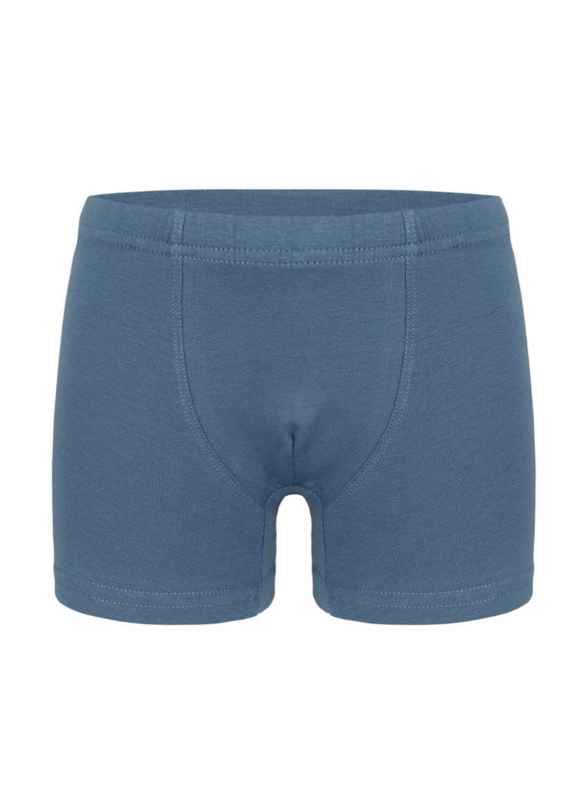 Трусы Боксеры для Мальчиков Boxer (Ассорти) 10 шт/уп Donella 7571PD2 — купить оптом из Турции