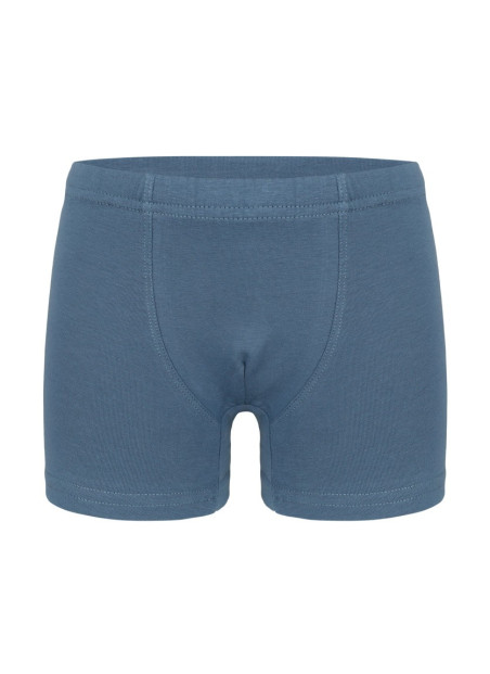 Donella 7571PD2 Assorted 10-Pack Boys' Boxer Briefs — wholesale from Turkey