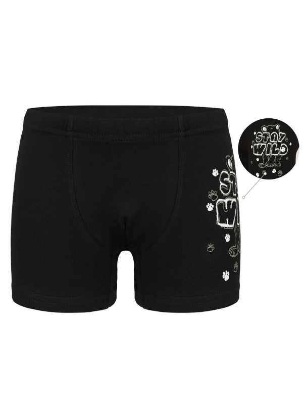 Donella 7571SB2 Assorted 10-Pack Boys' Boxer Briefs — Turkey wholesale collection 2
