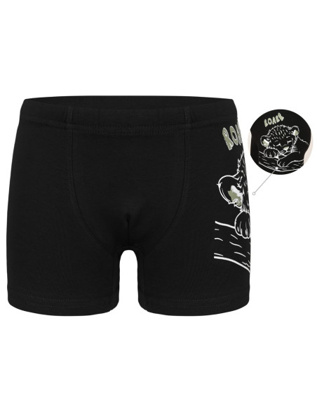 Donella 7571SB2 Assorted 10-Pack Boys' Boxer Briefs — Istanbul wholesale supplier