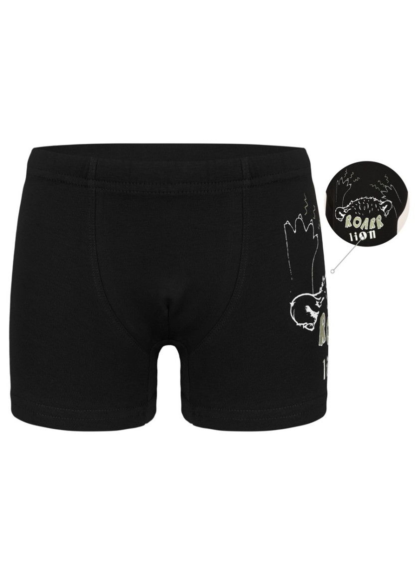 Donella 7571SB2 Assorted 10-Pack Boys' Boxer Briefs — wholesale for boutiques