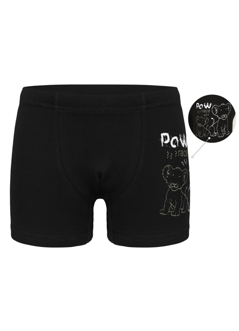 Трусы Боксеры для Мальчиков Boxer (Ассорти) 10 шт/уп Donella 7571SB2 — оптом от турецкой фабрики