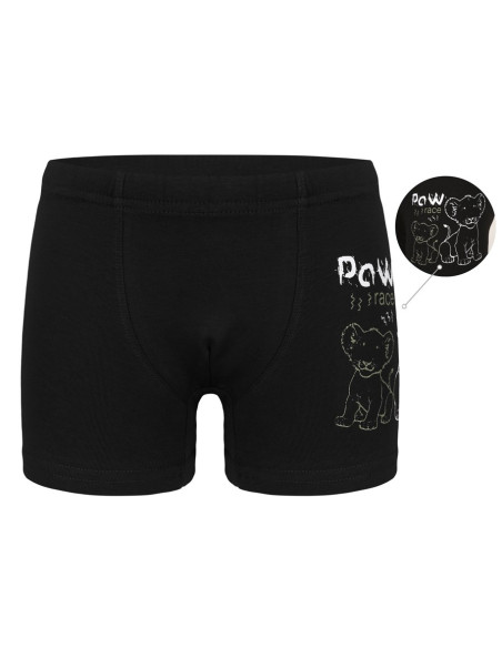 Трусы Боксеры для Мальчиков Boxer (Ассорти) 10 шт/уп Donella 7571SB2 — оптом от турецкой фабрики