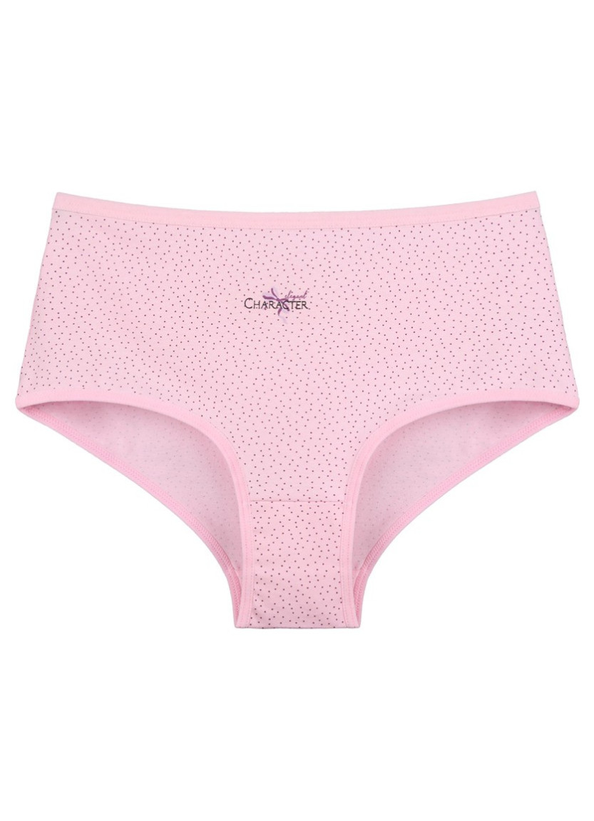 Donella 0681B29 Assorted 10-Pack Women's Briefs — wholesale for boutiques