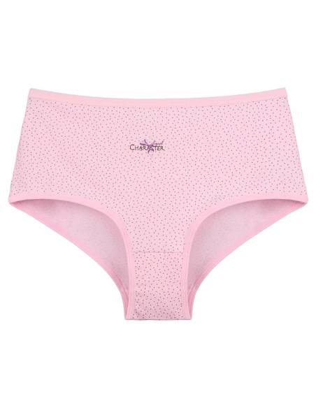 Donella 0681B29 Assorted 10-Pack Women's Briefs — wholesale for boutiques
