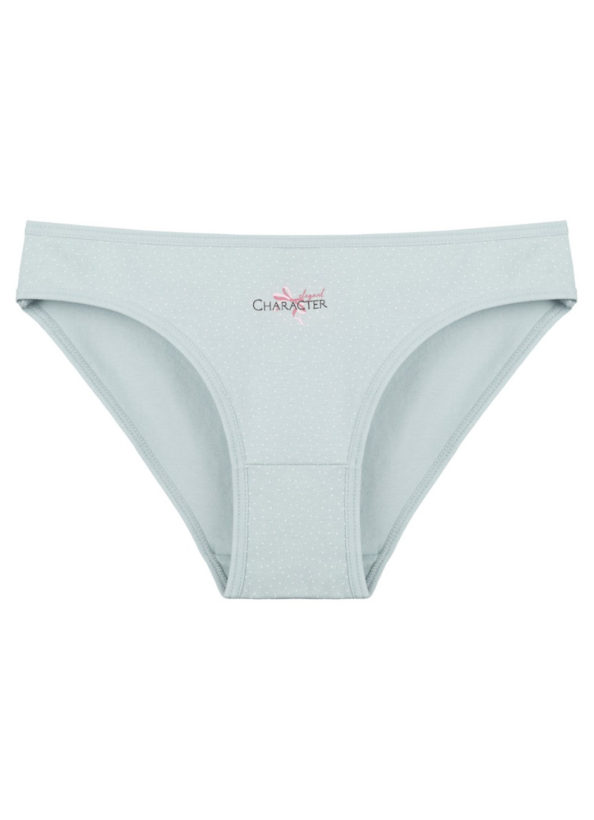 Donella 2181B29 Assorted 10-Pack Women's Briefs — Turkey wholesale collection