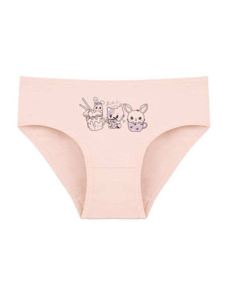 Donella 4181B26 Assorted 10-Pack Girls' Briefs — Turkish textile wholesale