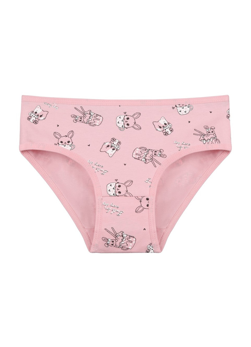 Donella 4181B26 Assorted 10-Pack Girls' Briefs — factory-direct from Turkey