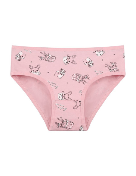 Donella 4181B26 Assorted 10-Pack Girls' Briefs — factory-direct from Turkey