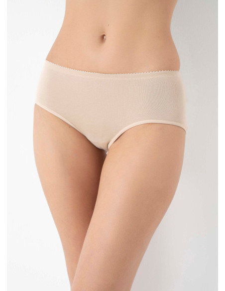 Anil 2689 Ten Women's Briefs — wholesale from Turkey