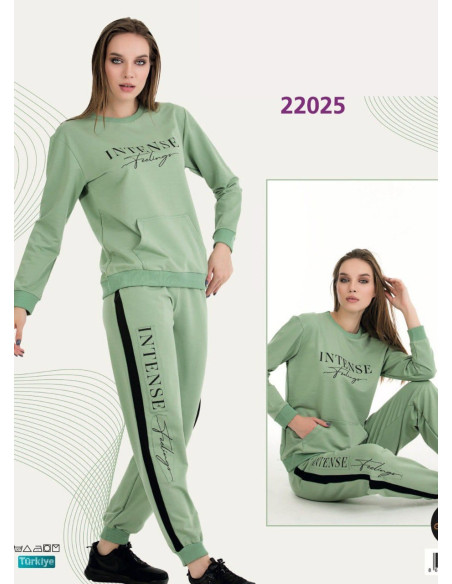 Lady 22025 Tracksuit (M+L+XL+2XL+3XL) — Istanbul wholesale supplier