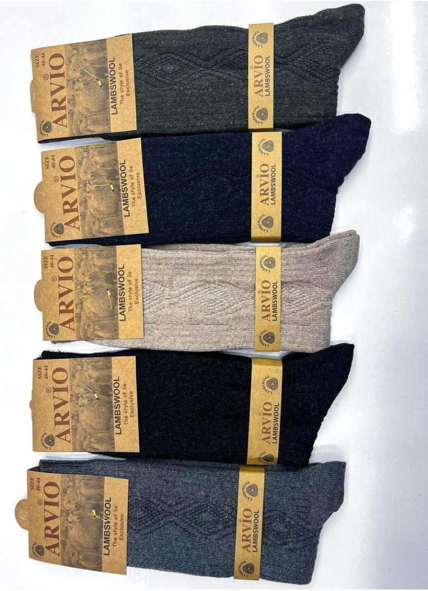 ARVIO LMS 58002 12-Pair Pack Men's Socks (40-44) — Turkey wholesale collection