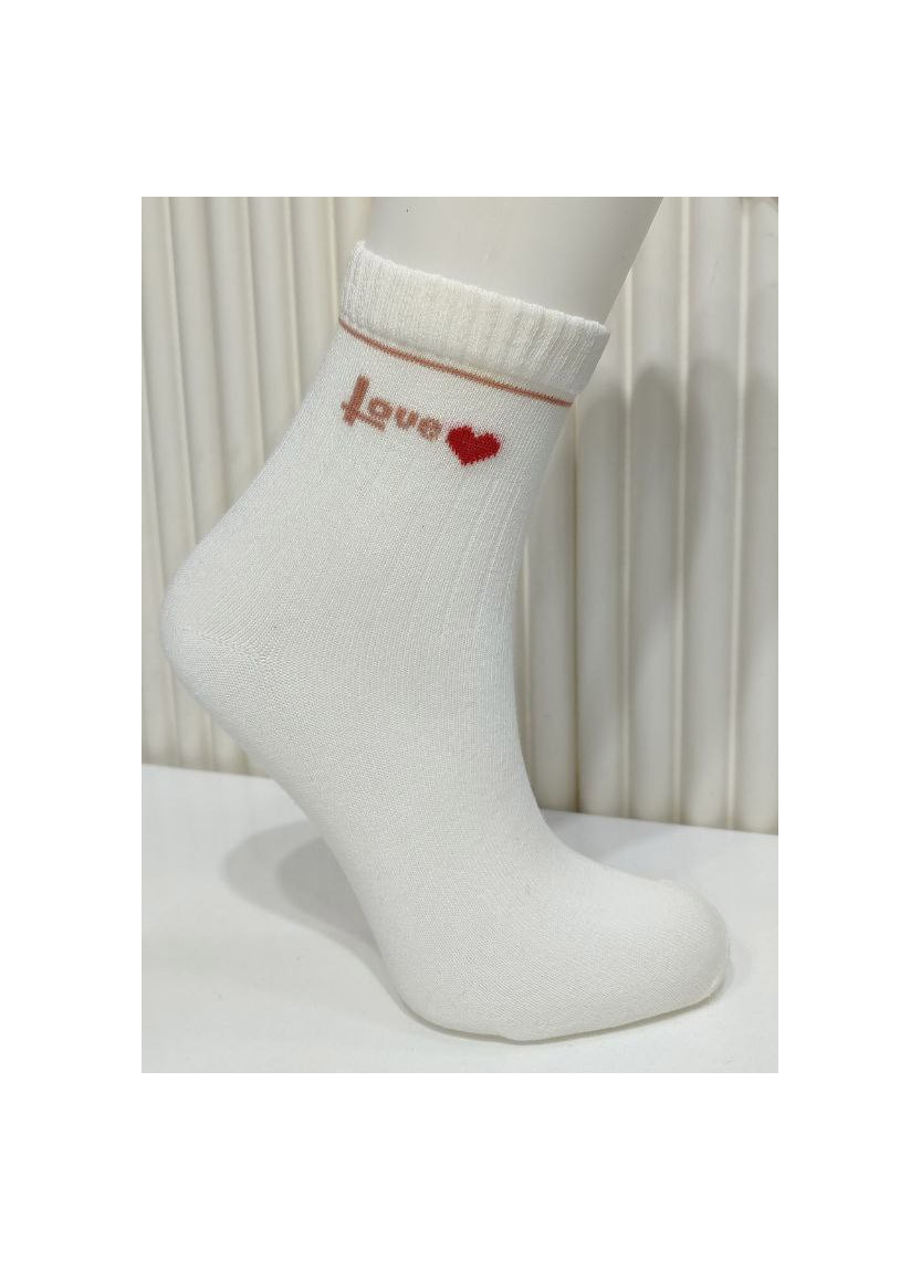 Носки Женские Cotton 12 Пар/Уп. (36-40) (Ассорти) Pier Vio PierVio COT 50004 — оптом от турецкой фабрики