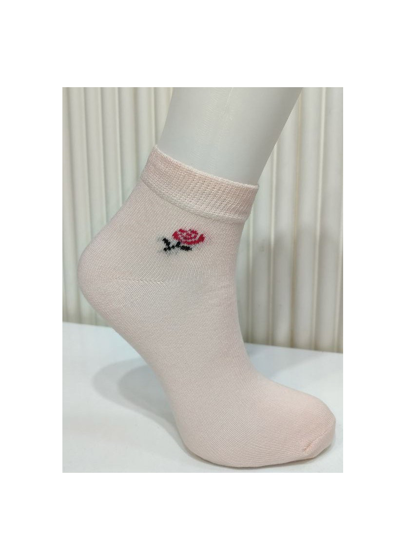 PierVio COT 50005 Cotton Assorted 12-Pair Pack Women's Socks (36-40) — Turkish textile wholesale