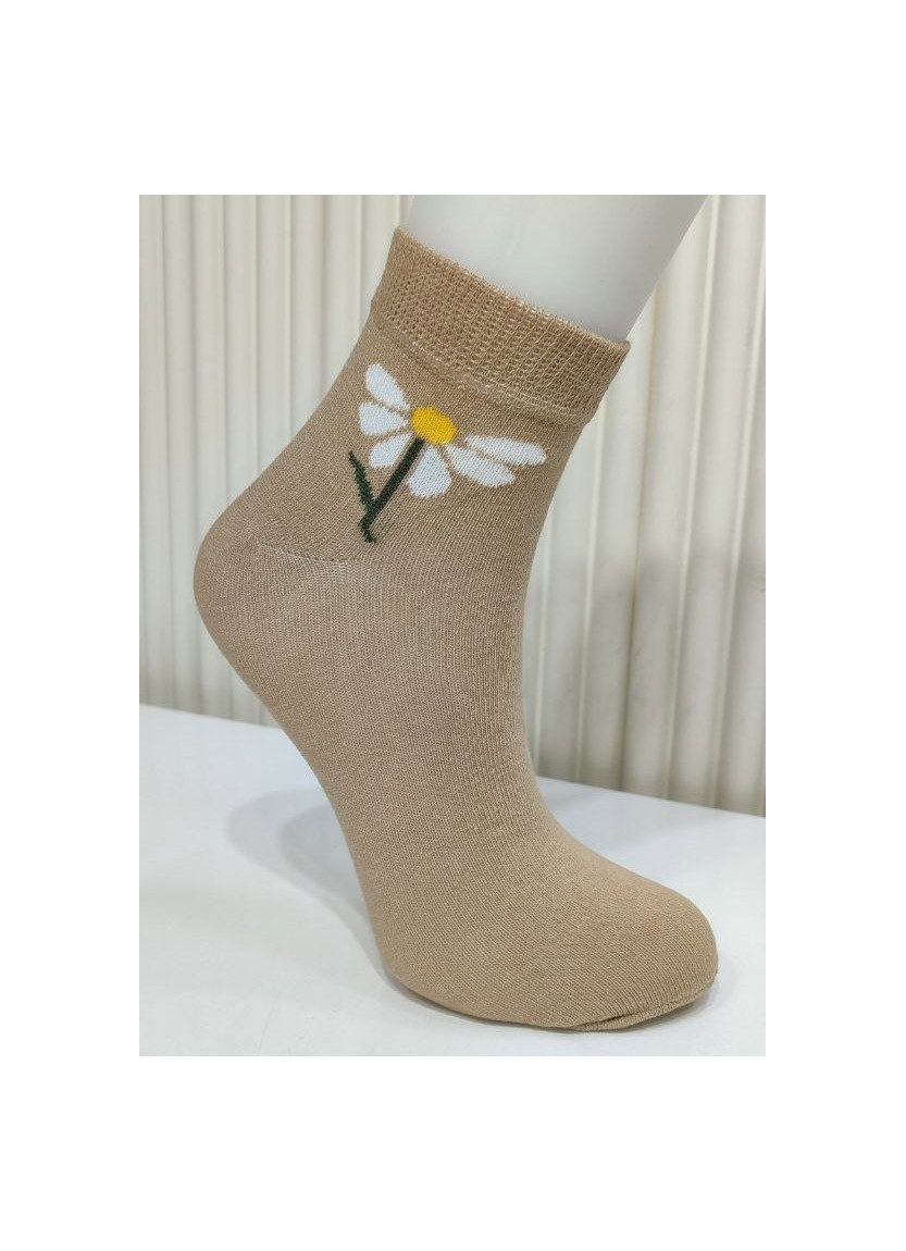 PierVio COT 50007 Cotton Assorted 12-Pair Pack Women's Socks (36-40) — factory-direct from Turkey
