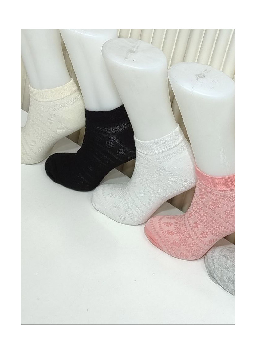 Носки Женские Cotton 12 Пар/Уп. (36-40) (Ассорти) Pier Vio PierVio COT 50010 — купить оптом со Стамбула