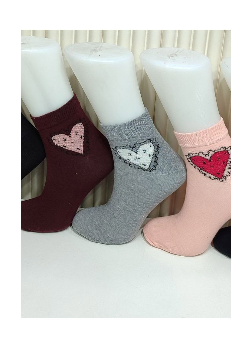 Носки Женские Cotton 12 Пар/Уп. (36-40) (Ассорти) Pier Vio PierVio COT 50011 — оптом для магазинов и бутиков