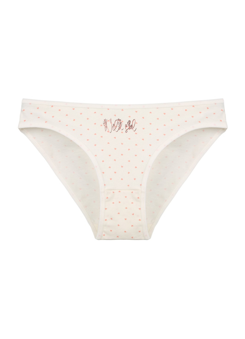 Donella 2181B28 Assorted 10-Pack Women's Briefs — wholesale for boutiques