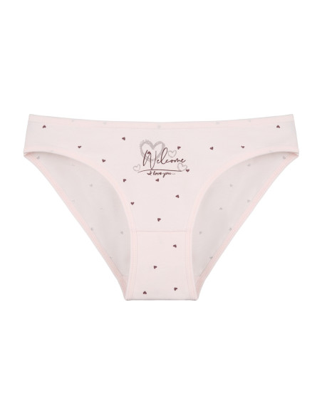 Donella 2181B33 Assorted 10-Pack Women's Briefs — wholesale for boutiques