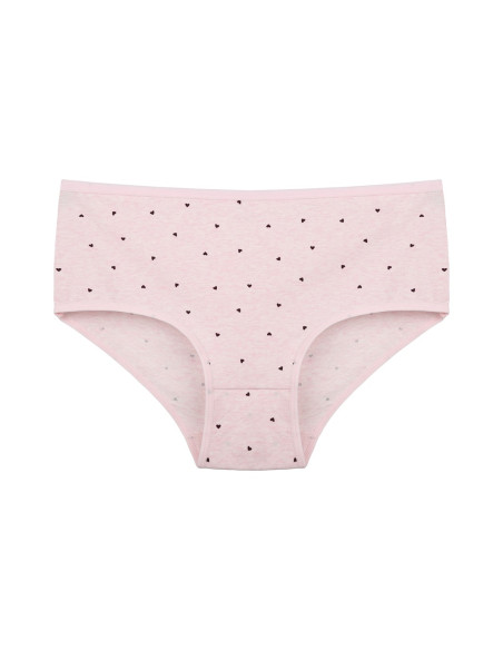 Donella 258124 Assorted 10-Pack Women's Briefs — direct Turkish factory supply