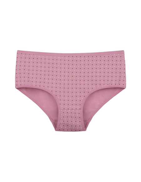 Donella 258127 Assorted 10-Pack Women's Briefs — wholesale for boutiques