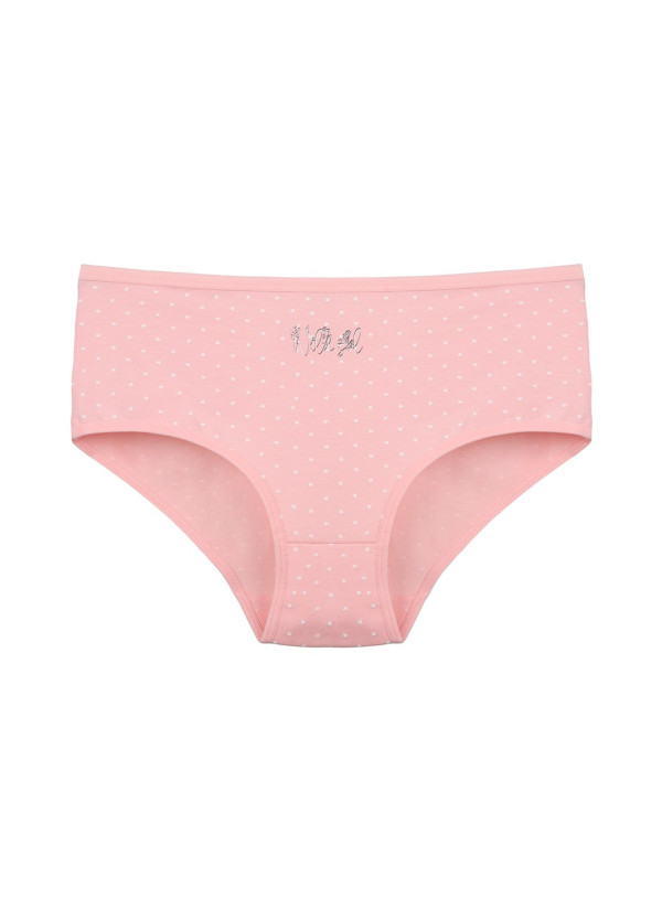 Donella 2581B28 Assorted 10-Pack Women's Briefs — wholesale for boutiques 2